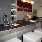 Hotel Rheinischer Hof Bad Soden 4*