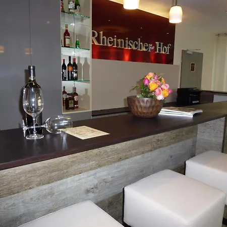Hotel Rheinischer Hof Bad Soden 4*