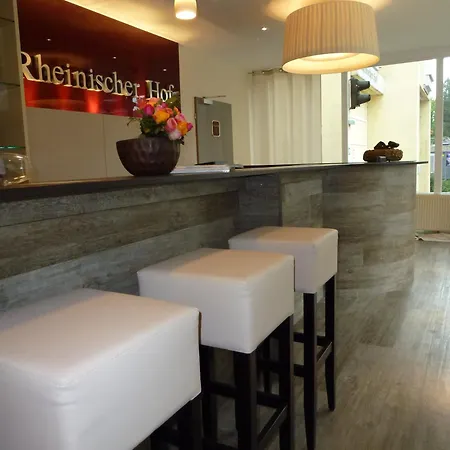 Hotel Rheinischer Hof Bad Soden 4*