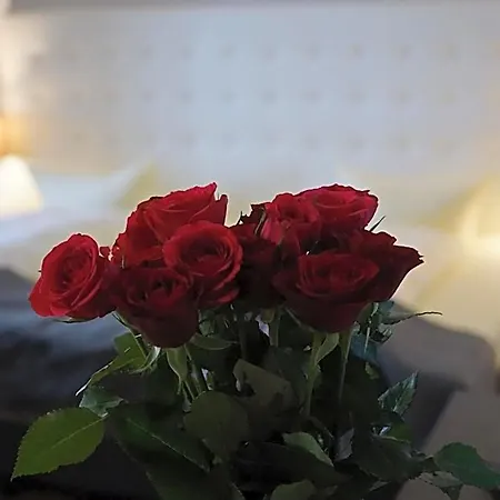 Hotel Rheinischer Hof Bad Soden