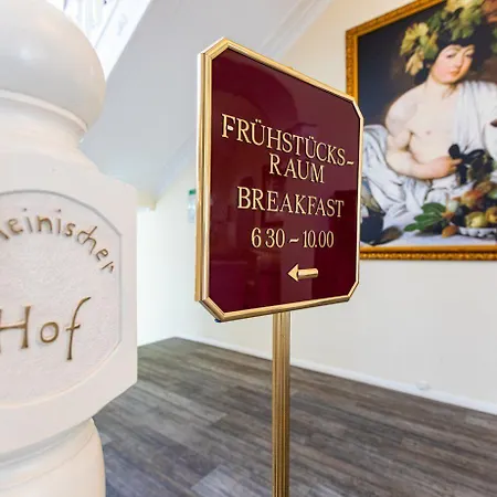 Rheinischer Hof Bad Soden Hotel