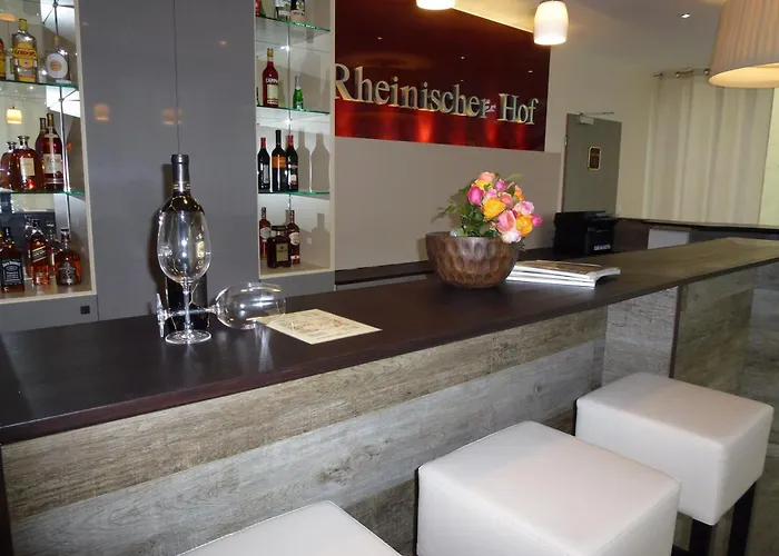 호텔 라인니셔 호프 바트 조덴 4*