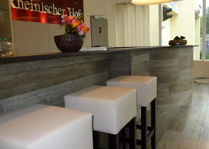 호텔 라인니셔 호프 바트 조덴 4*