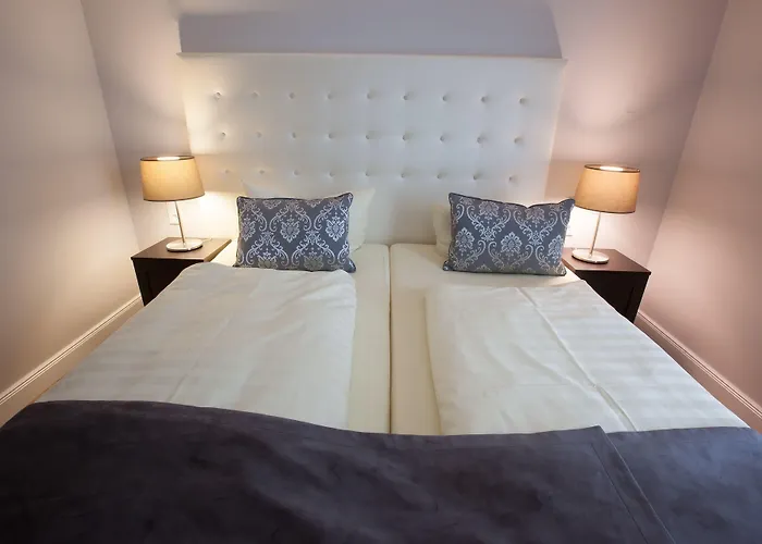 라인니셔 호프 바트 조덴 4* 바트 조덴 암 타우누스